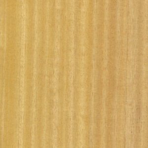 Iroko