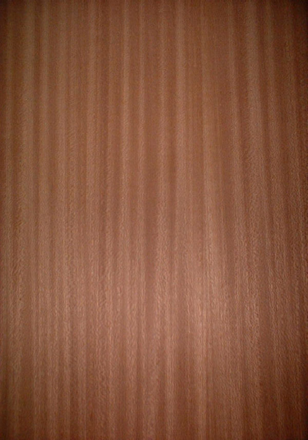 Sapelli